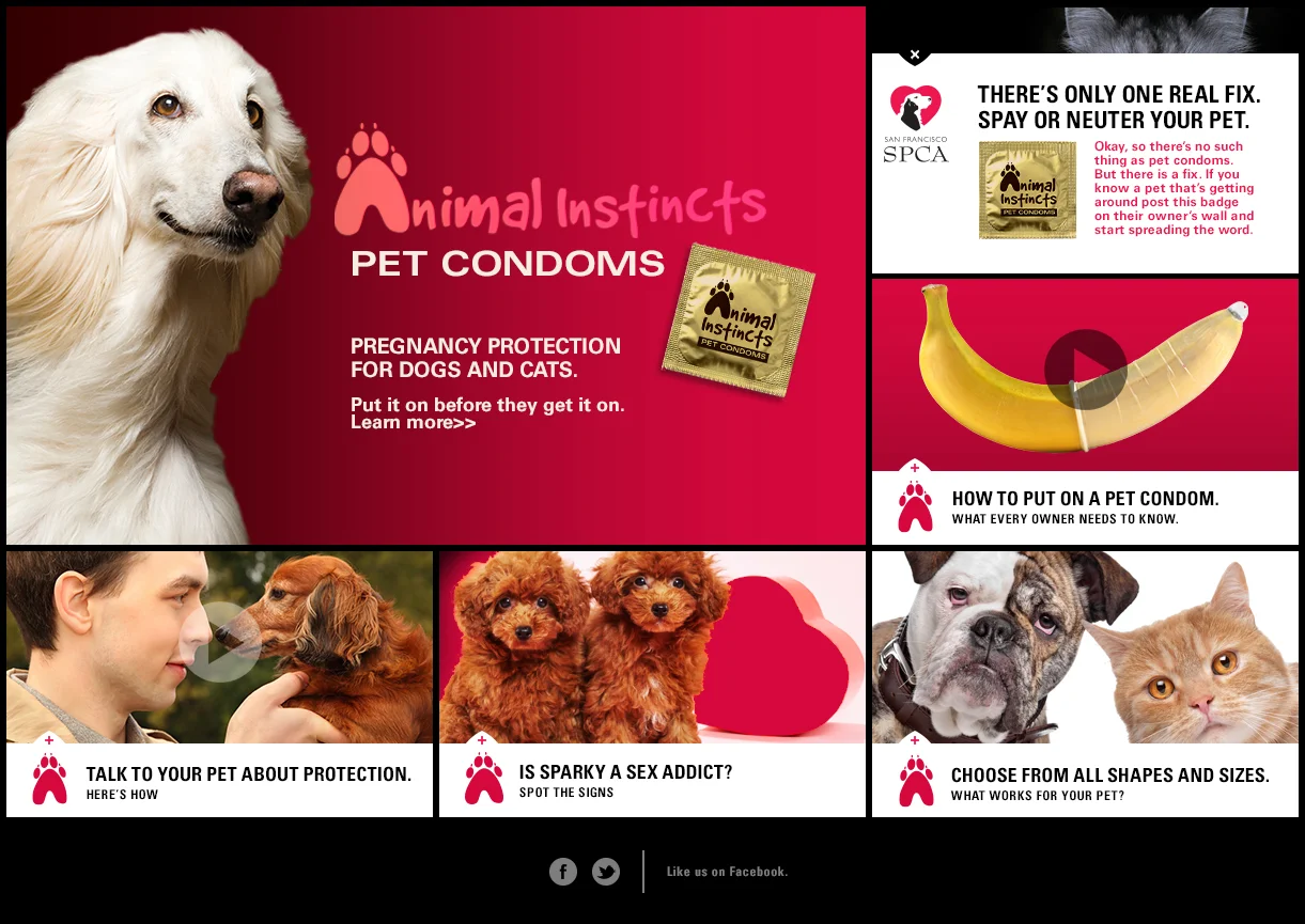 PetCondom.org - Site Homepage