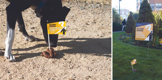 Be honest. You’re out walking your dog. No one’s around for miles. The dog stops and drops. Do you scoop the poop?