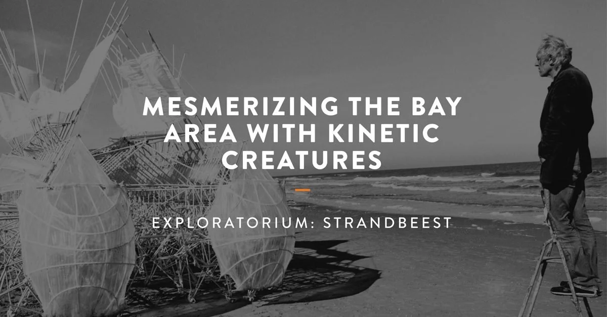 linkedin-explo-strandbeest.jpg