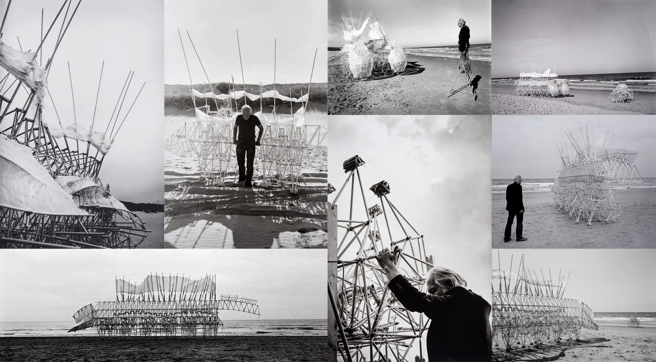 strandbeest-bw-collage-scaled.jpg