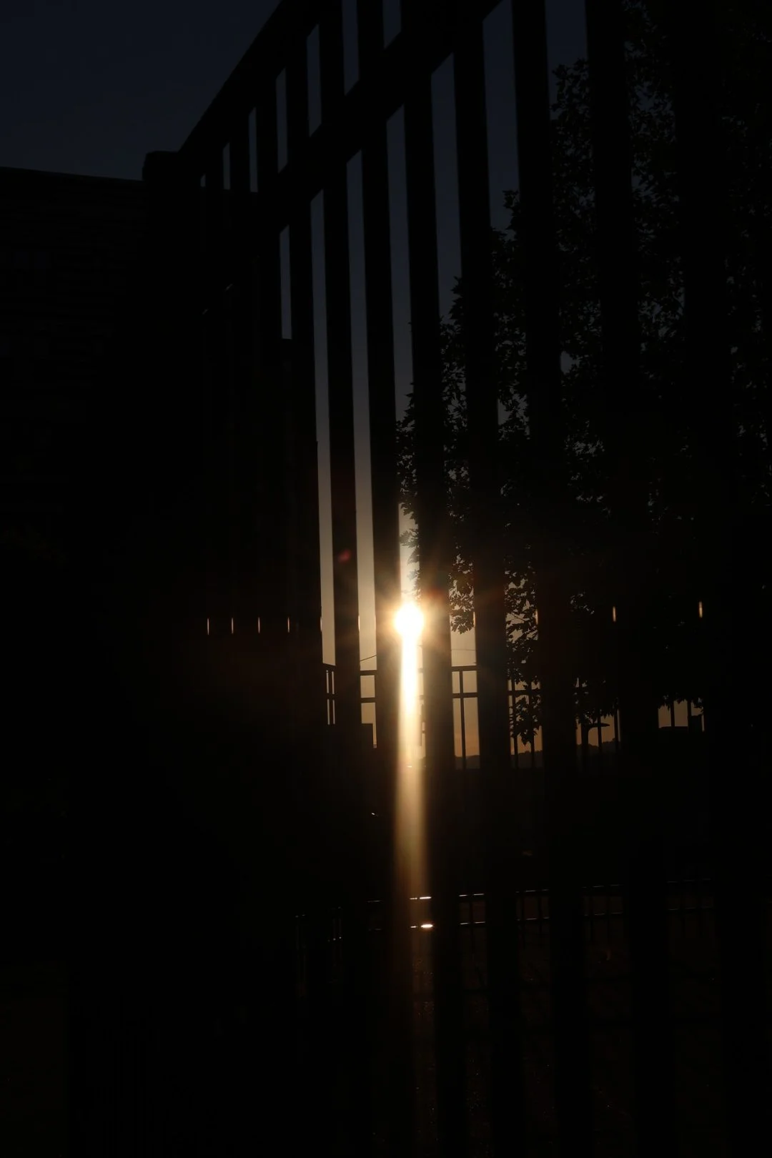 Sunset viewed through a metal fence with trees in the background.
