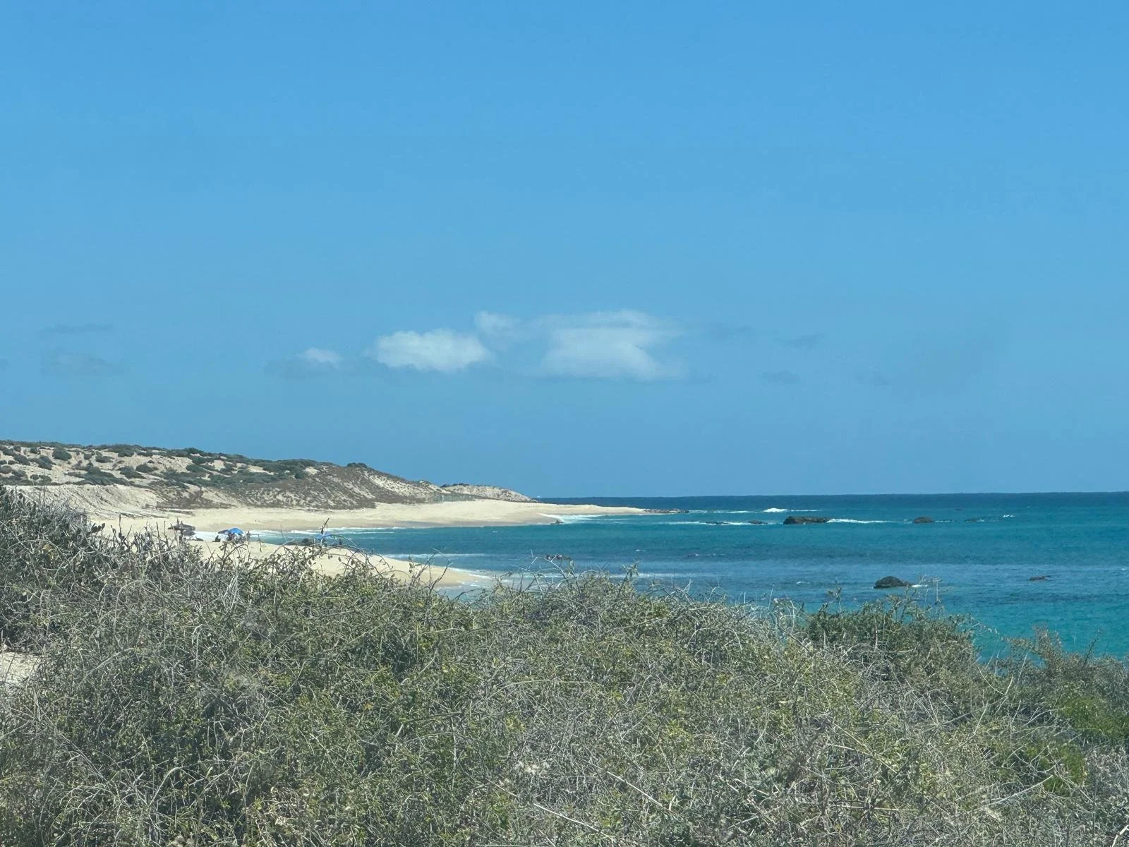 Sunny beach with clear blue water, white sandy shore, and green bushes in the foreground. Distant cliffs line the horizon under a blue sky with a few clouds.