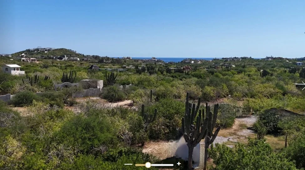 A desert landscape with various cacti, shrubs, and small structures, with the ocean and blue sky in the background.