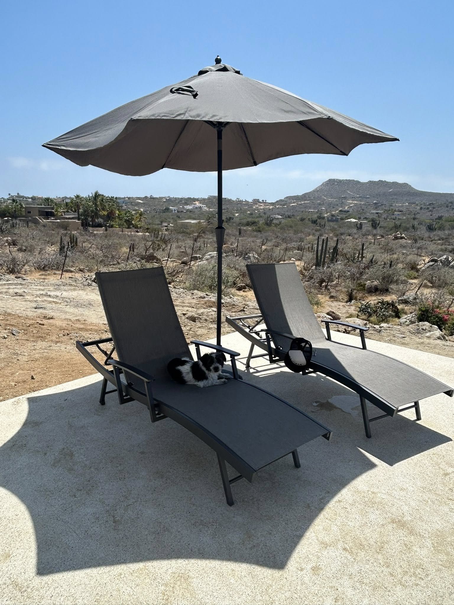Two lounge chairs with a small black and white puppy lying on one of the chairs, under a large gray beach umbrella on a patio with a desert landscape and hills in the background.