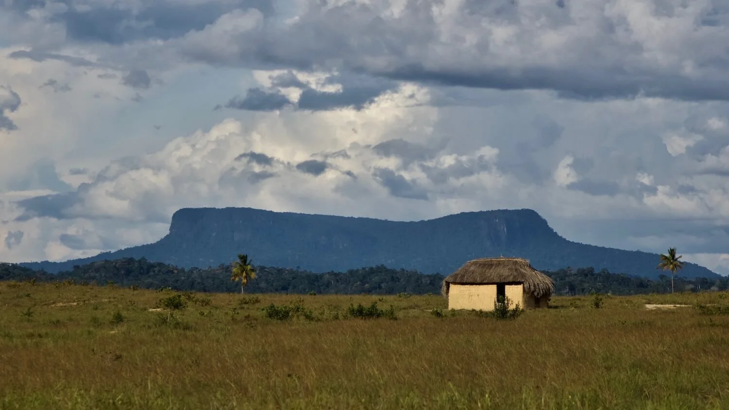 Inclusive leadership in Guyana