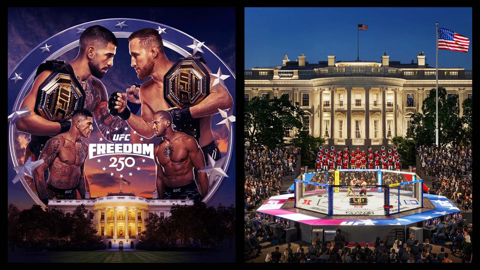UFC Freedom 250 explained: Date, venue, fight card and why the White House event is historic