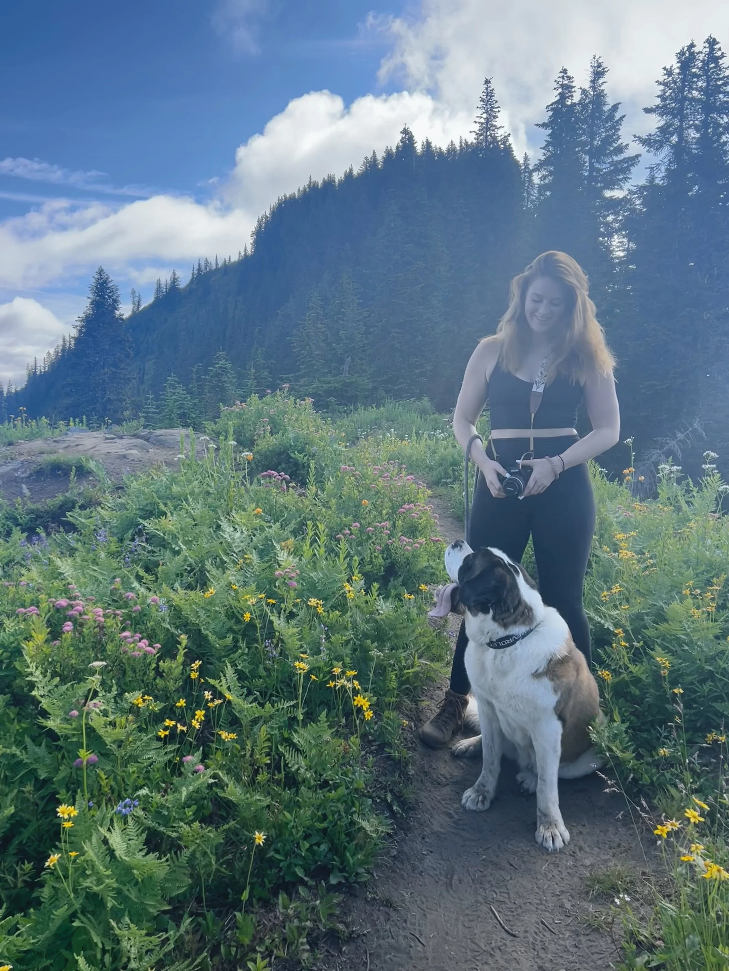 A woman smiling with a camera standing next to a sitting Saint Bernard dog on a forested mountain trail with colorful wildflowers, tall pine trees, and a partly cloudy sky in the background.