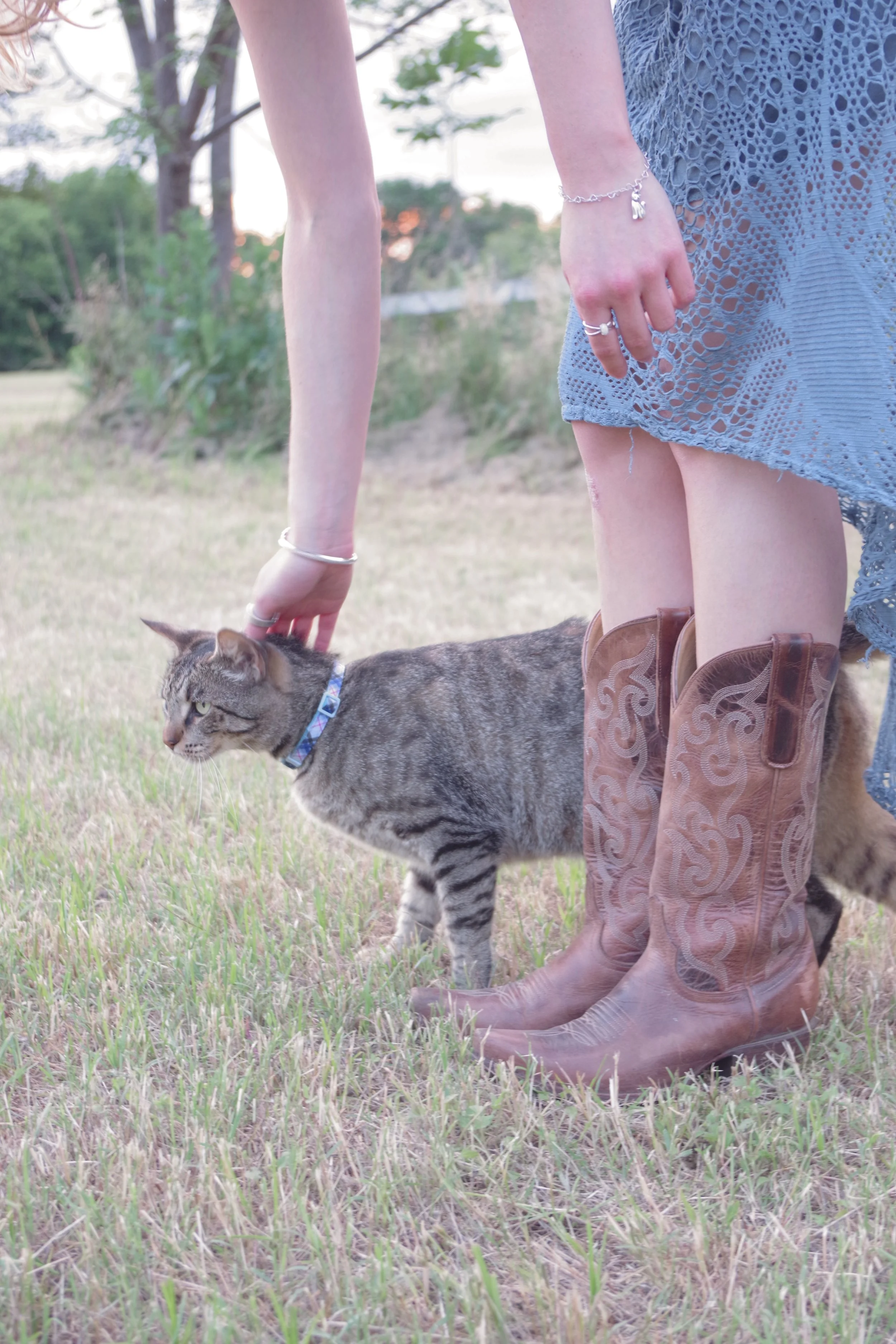 A person wearing cowboy boots and a blue lace dress is outdoors in a grassy area, touching a tabby cat with a collar.
