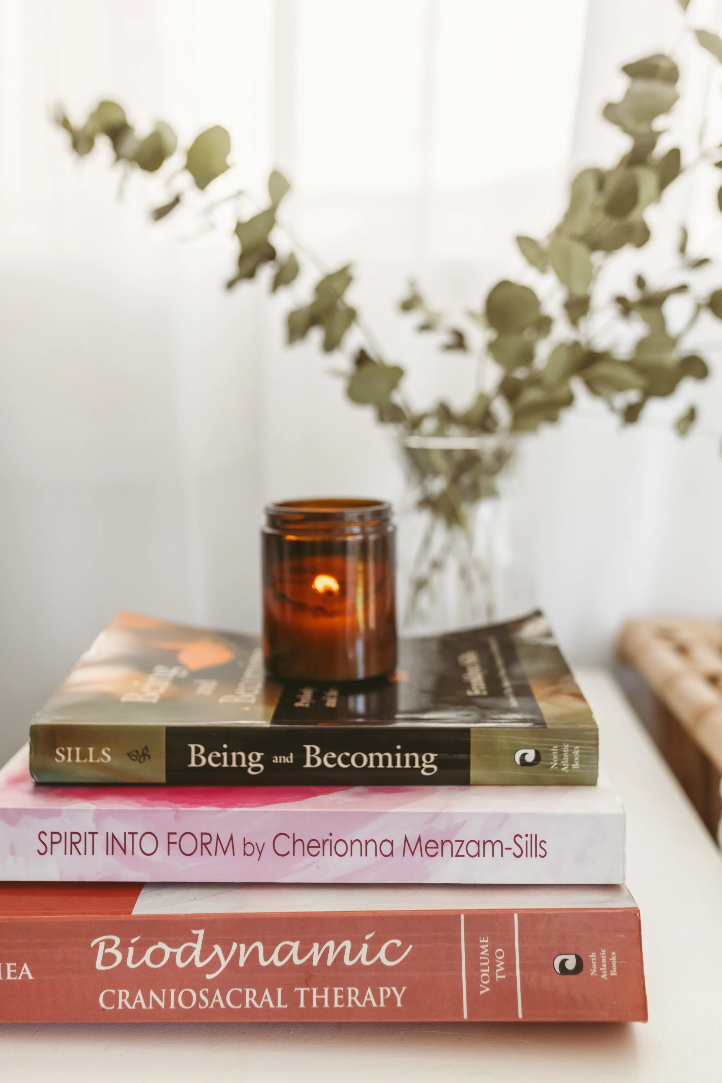 Stack of three books with a candle in a glass holder on top, background of a vase with green leafy branches and a bright window.