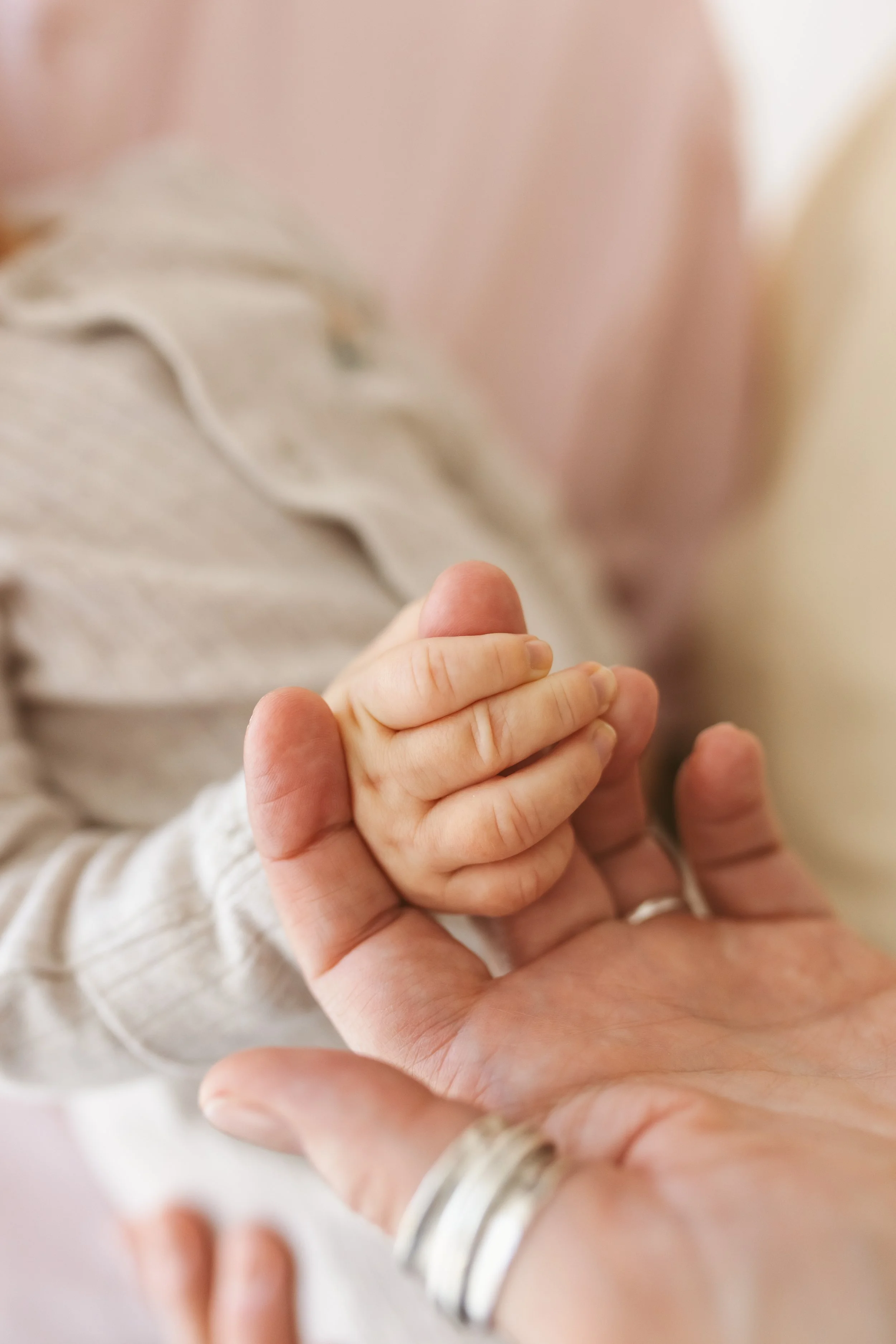 Close-up of a baby's hand being held gently by an adult's hand.