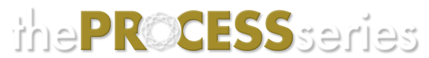 Logo for 'The Process Series' with stylized text and a geometric design within the letter 'O'