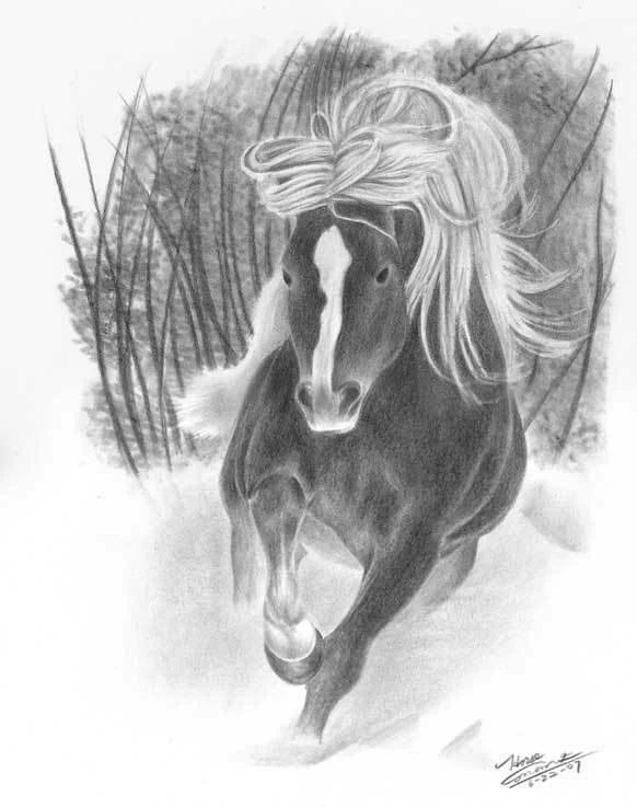 Horse 03.jpg