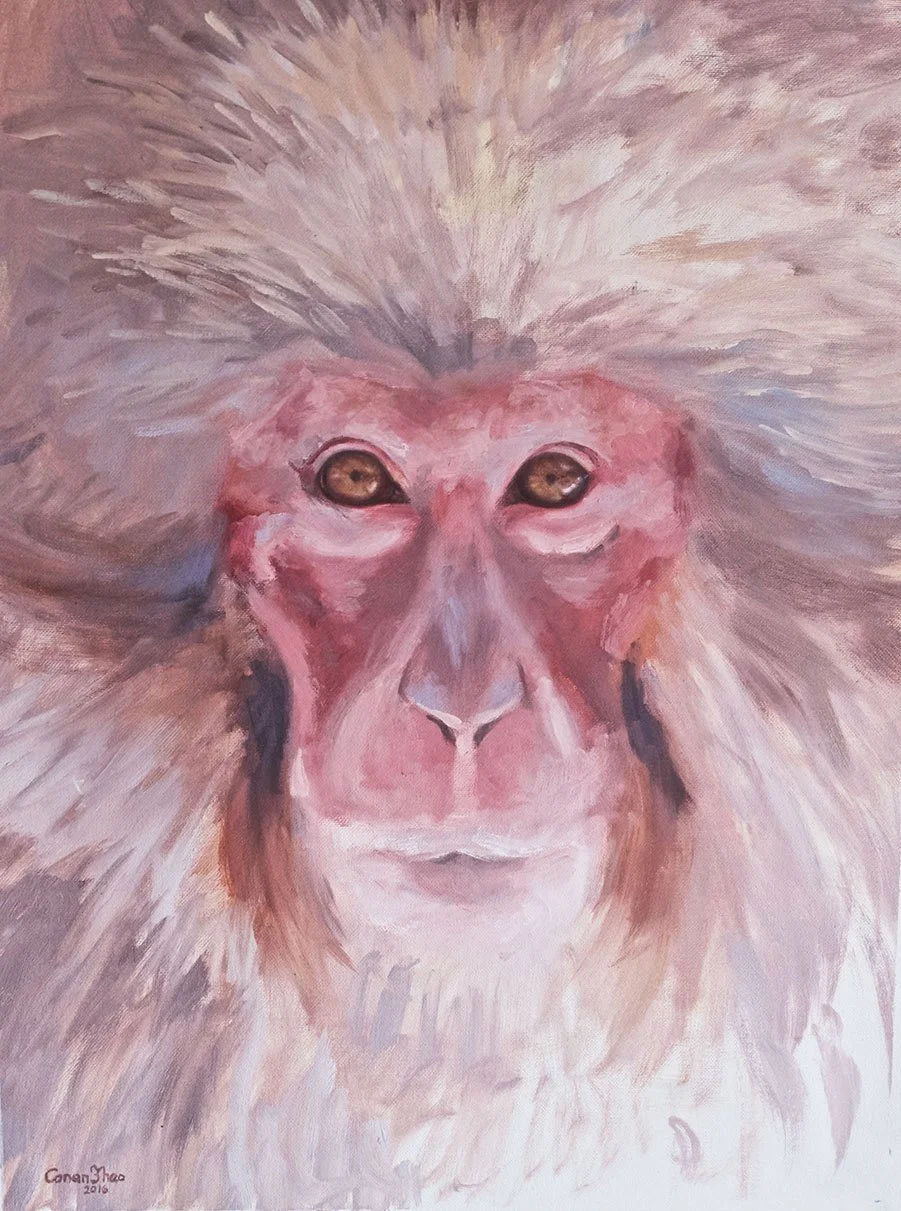 Macaque.jpg