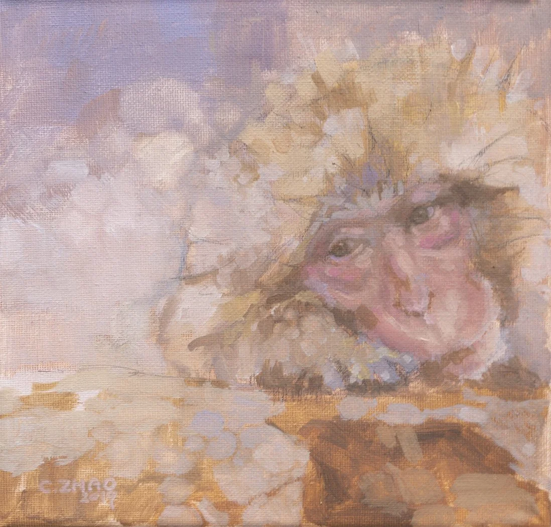 Snow Macaque 01.jpg