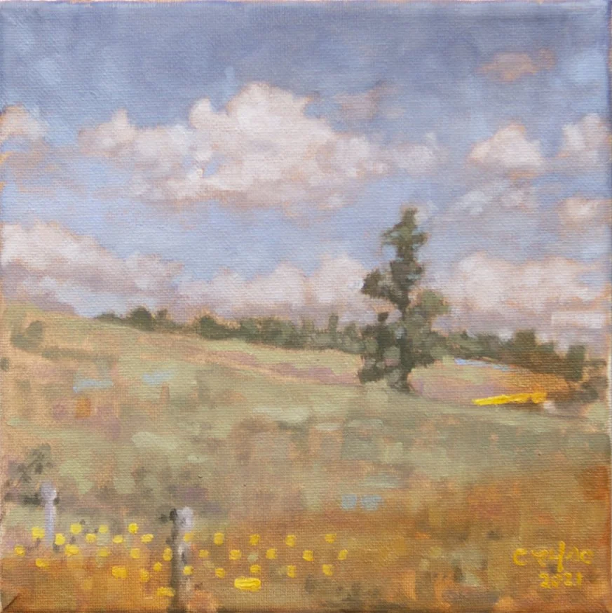 Meadow along Blueridge.jpg