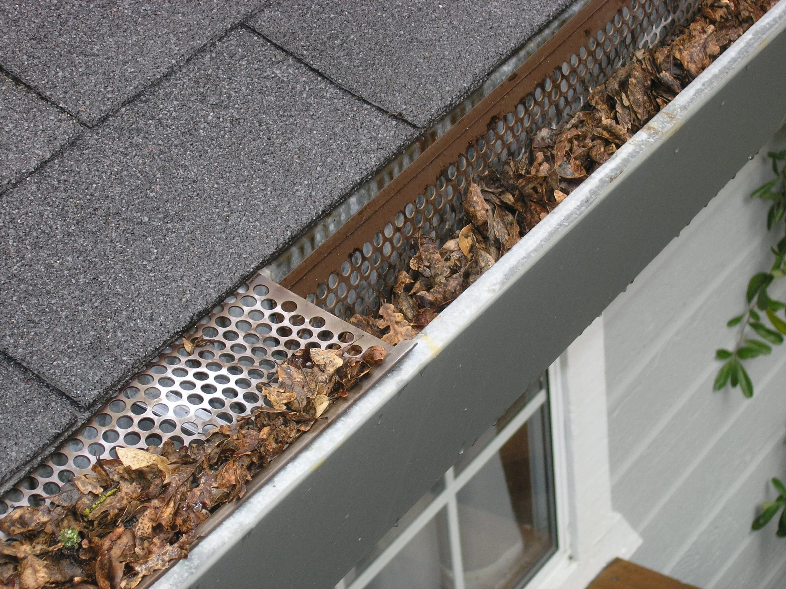 Fall Gutter Clean Outs