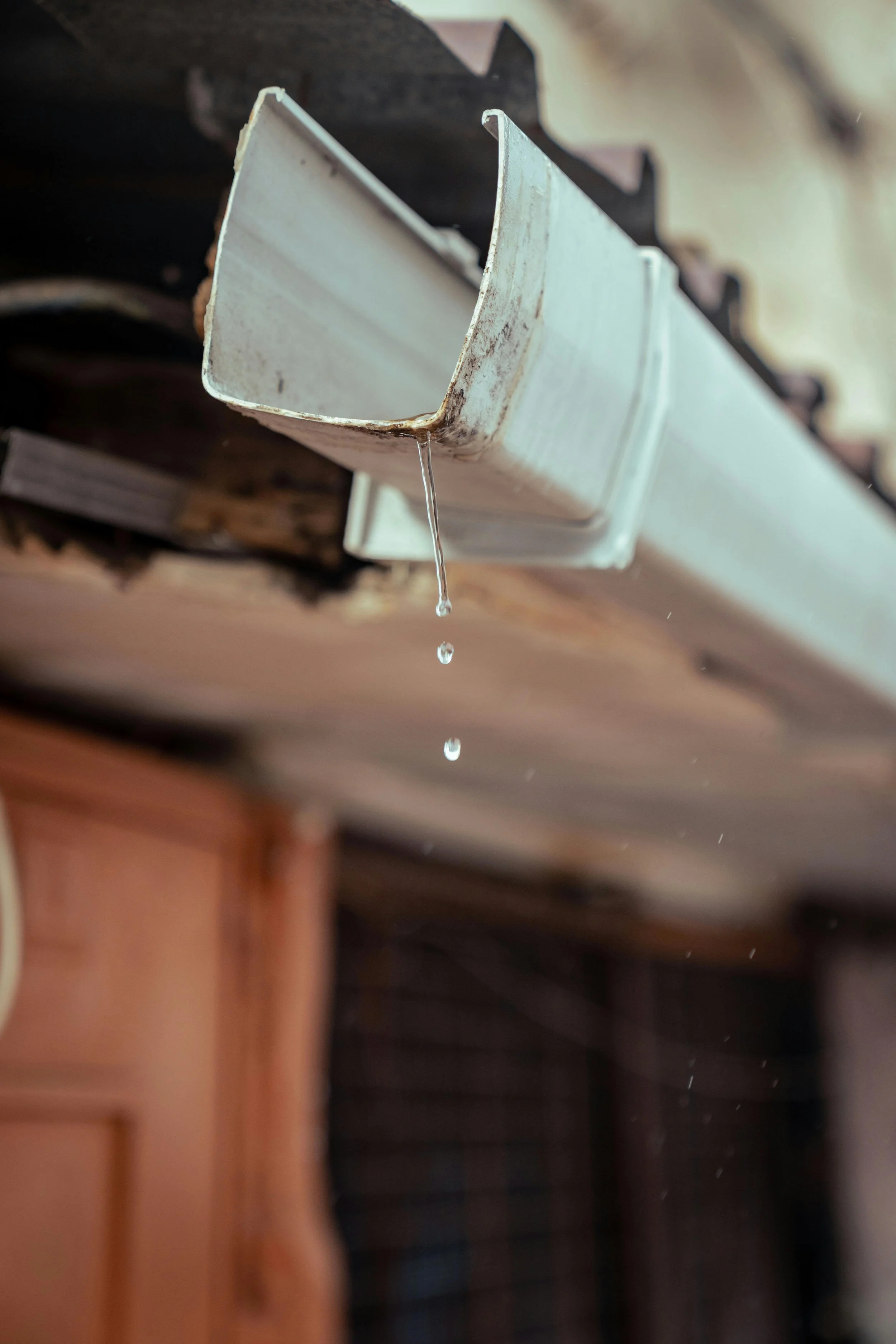Gutter Maintenance