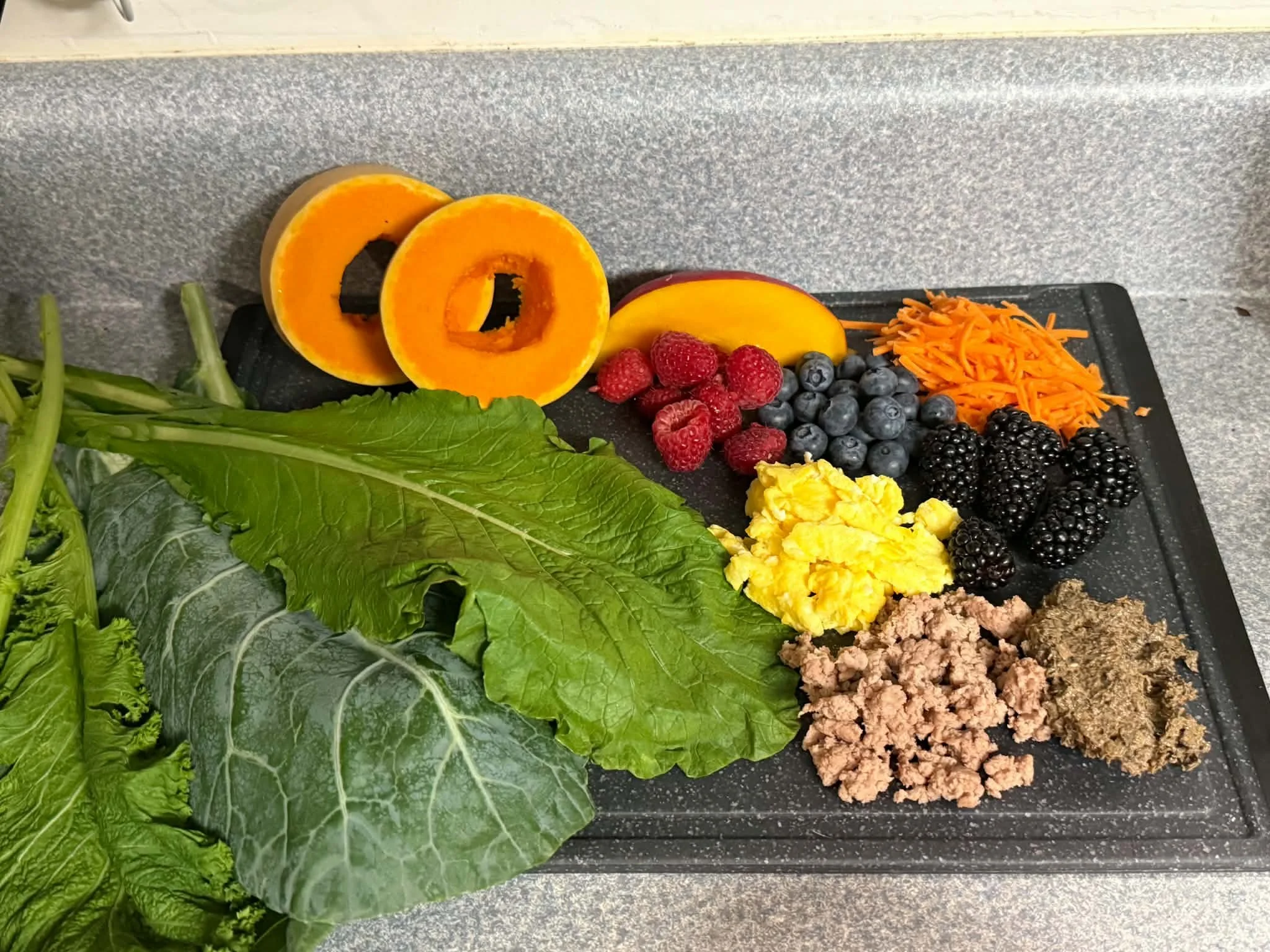 Skink Diets and How to Make Your Own