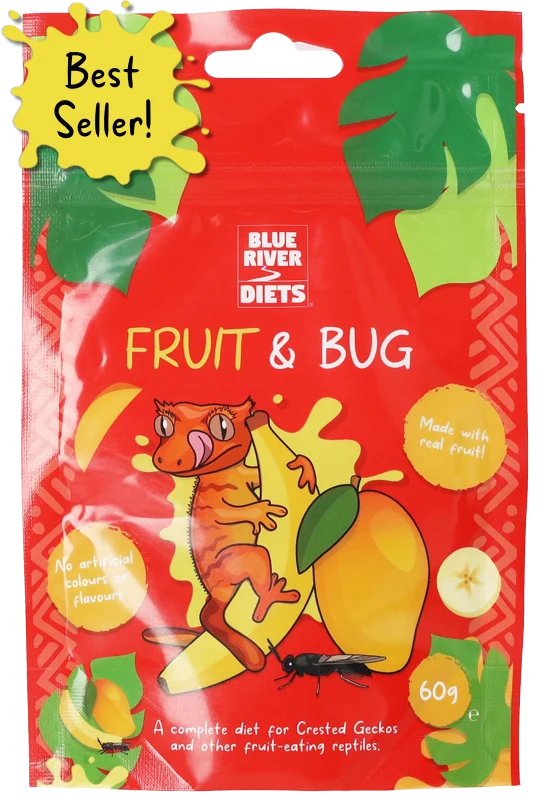 Fruit_and_Bug_1.png