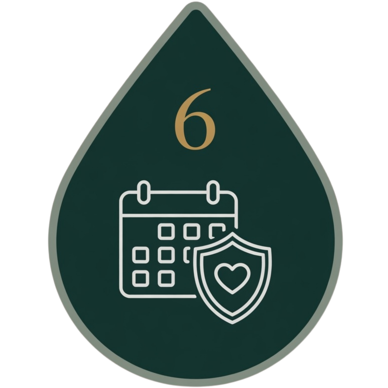 A badge with the number 6 at the top, a calendar icon, a shield with a heart inside, and a line underneath the number.