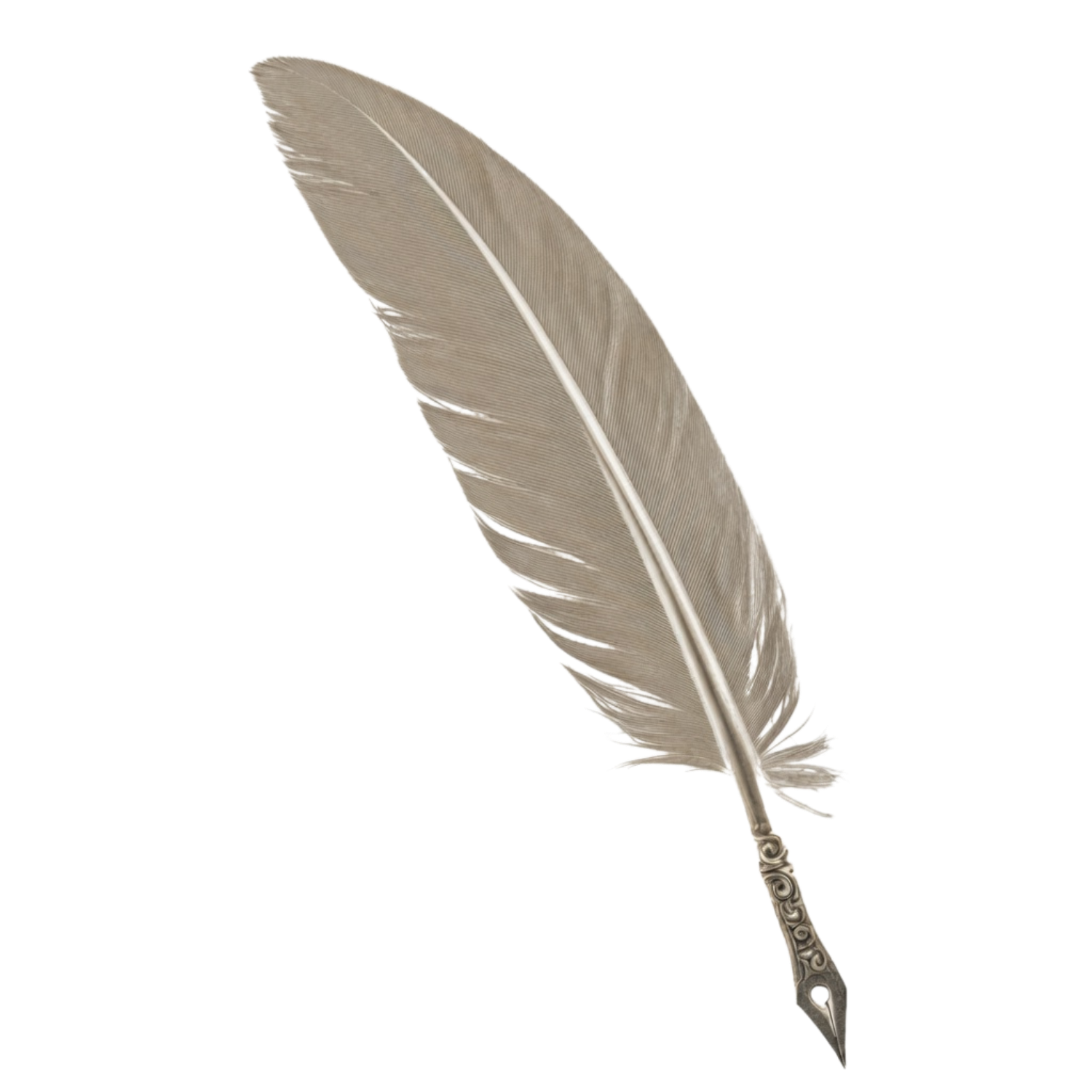 A close-up of a feathered quill pen with a detailed metal tip, isolated on a white background.