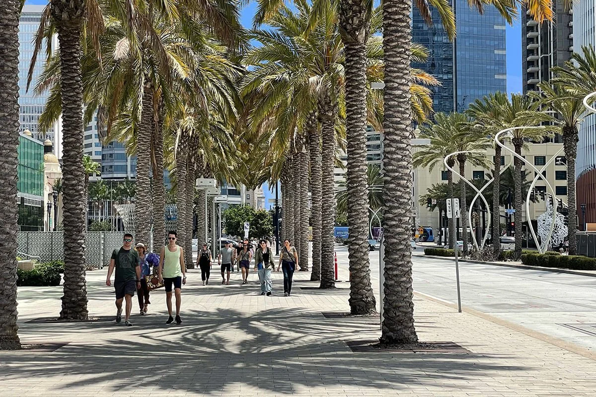 City street with tall palm trees, people walking, modern buildings, and bright sunlight.