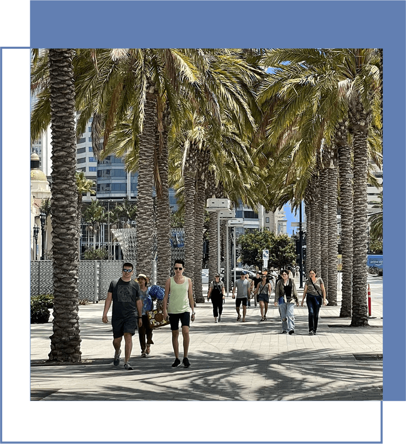 People walking along a sunny palm tree-lined sidewalk in an urban area.