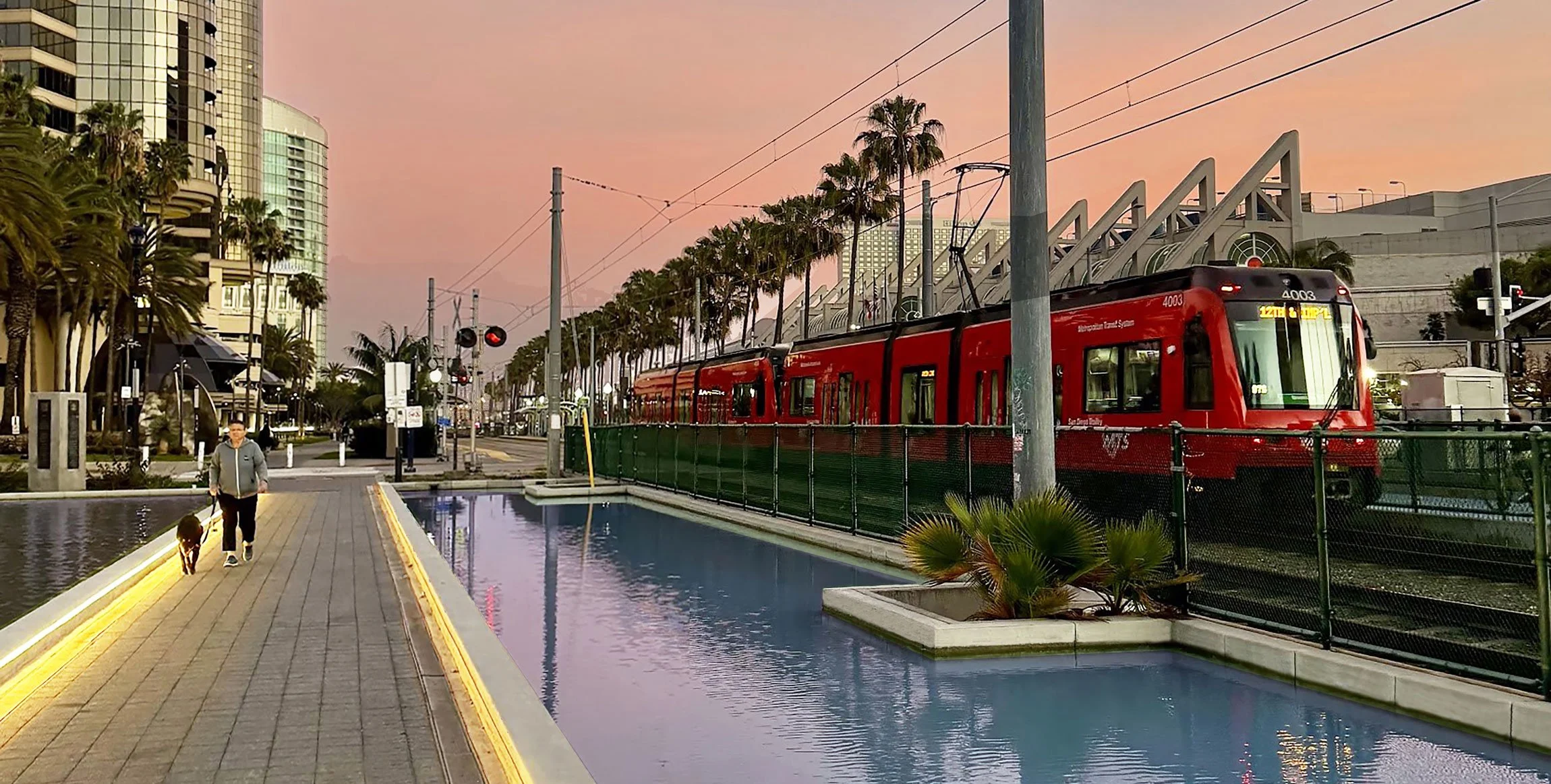 San Diego scene with a red trolley on tracks, palm trees, tall buildings, and a pedestrian walking a dog along a water feature on a cloudy day.