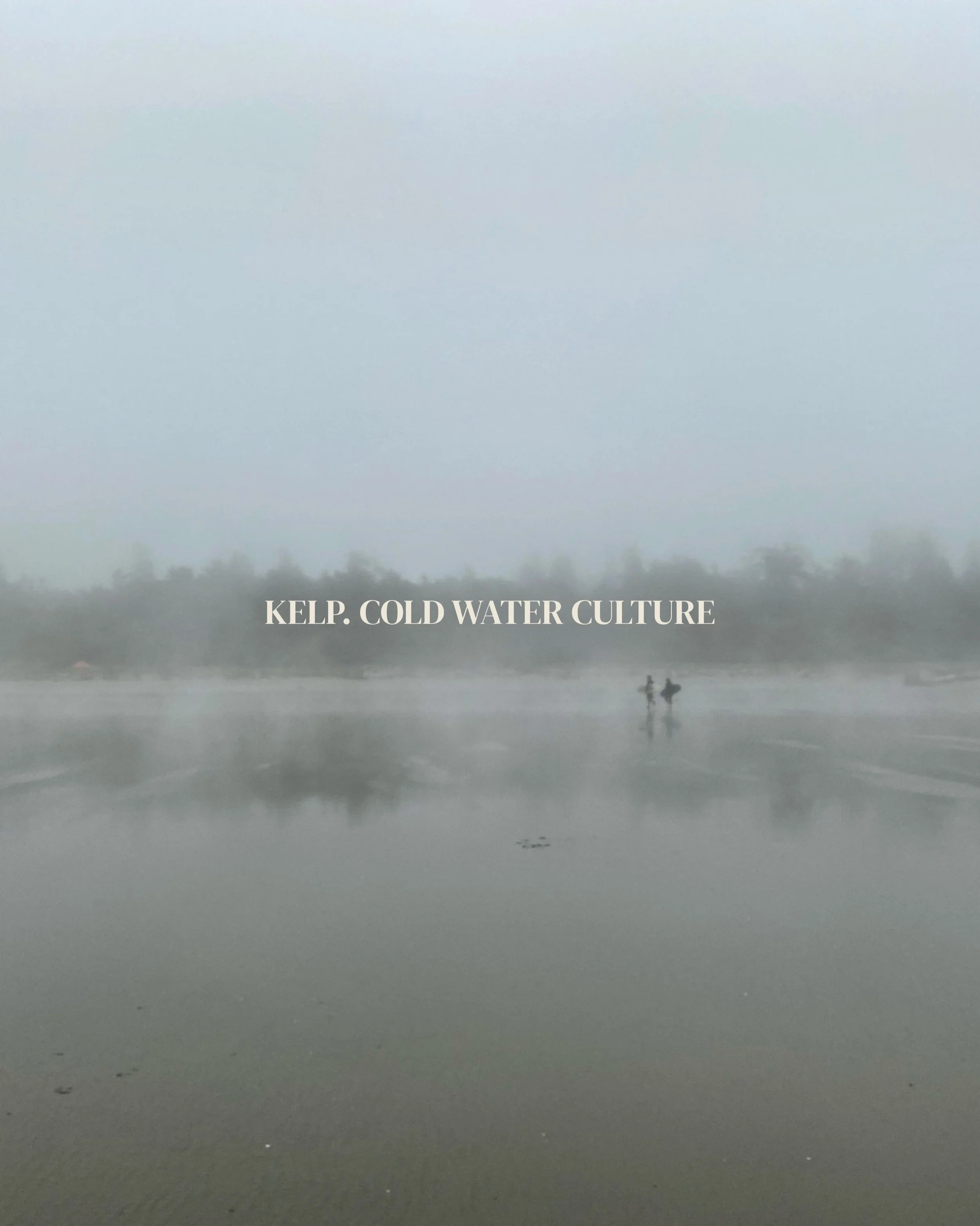 For the ones who never quite warmed up after the swim. This is Kelp &ndash; a celebration of cold water and campfire things.

First tide of goods coming ashore soon.

#kelpcoldwater
#coldwaterculture
#coldwatertherapy
#coldwatersurf&nbsp;
#coldwaters