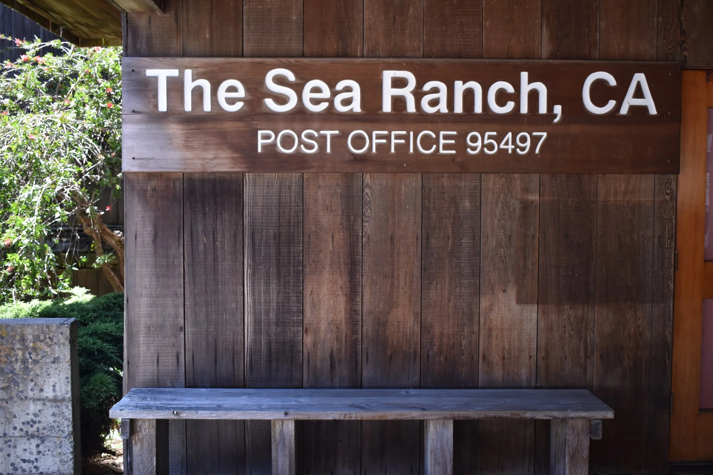 KELP FIELD NOTES / ORIGIN STORY