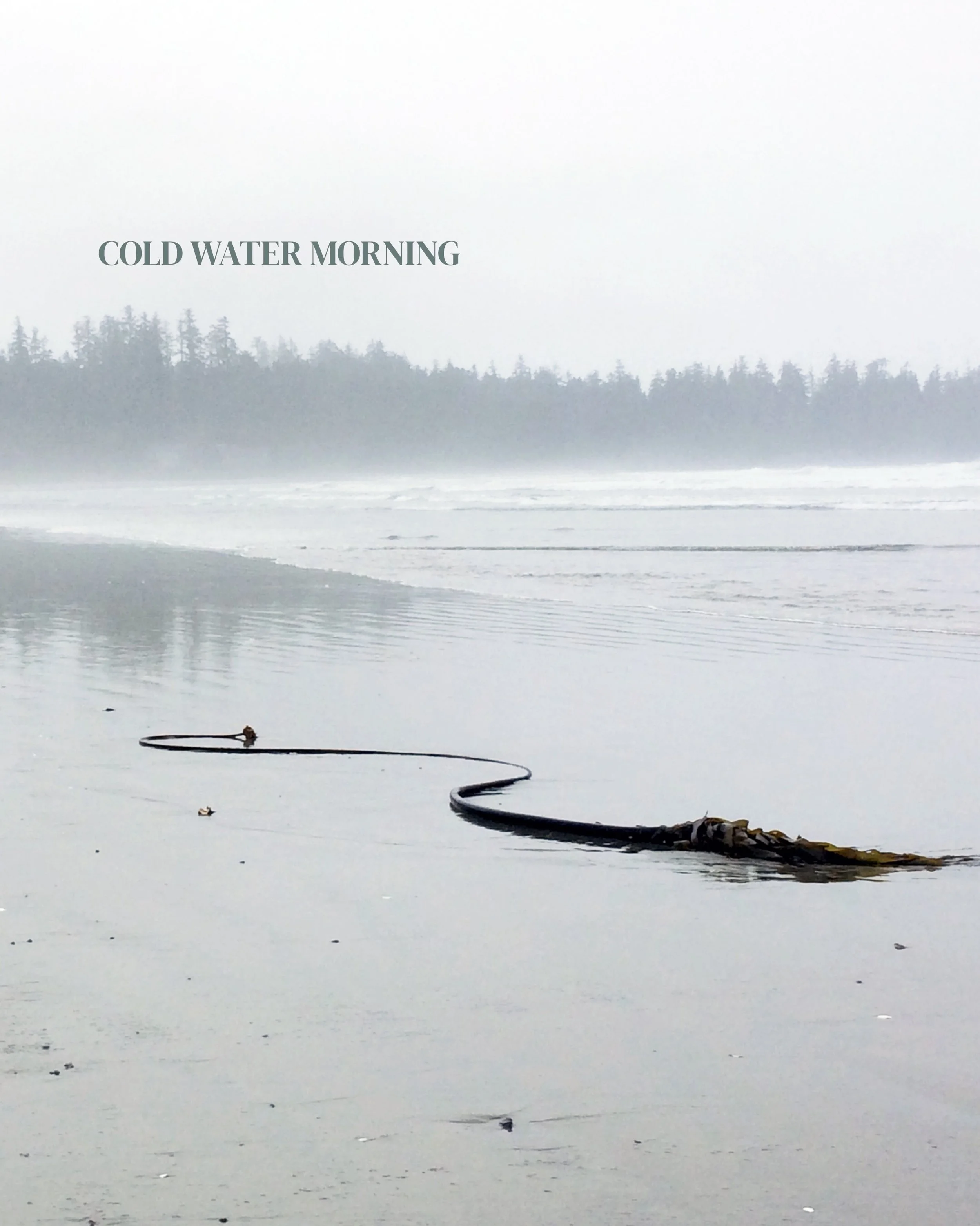 KELP.
&nbsp;
Foggy beach, kelp at the tideline, and that feeling after a cold dip when the world goes quiet for a bit.
For the ones who never quite warmed up after the swim.

Kelp. Cold Water Culture. Coming 2026. 

#coldwaterculture
#surfculture
#pa