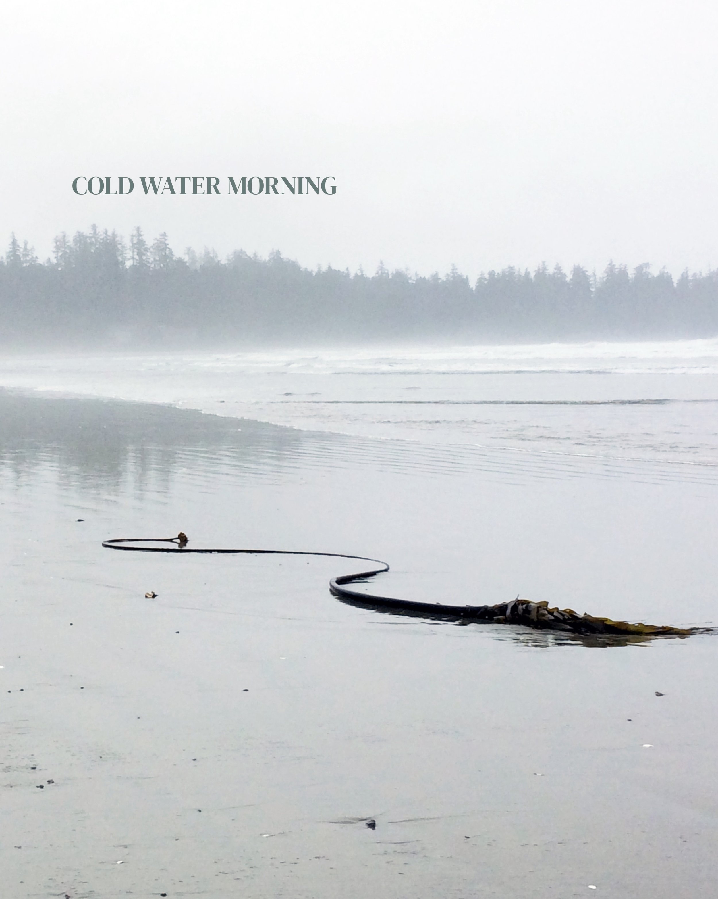 KELP.
&nbsp;
Foggy beach, kelp at the tideline, and that feeling after a cold dip when the world goes quiet for a bit.
For the ones who never quite warmed up after the swim.

Kelp. Cold Water Culture. Coming 2026. 

#coldwaterculture
#surfculture
#pa