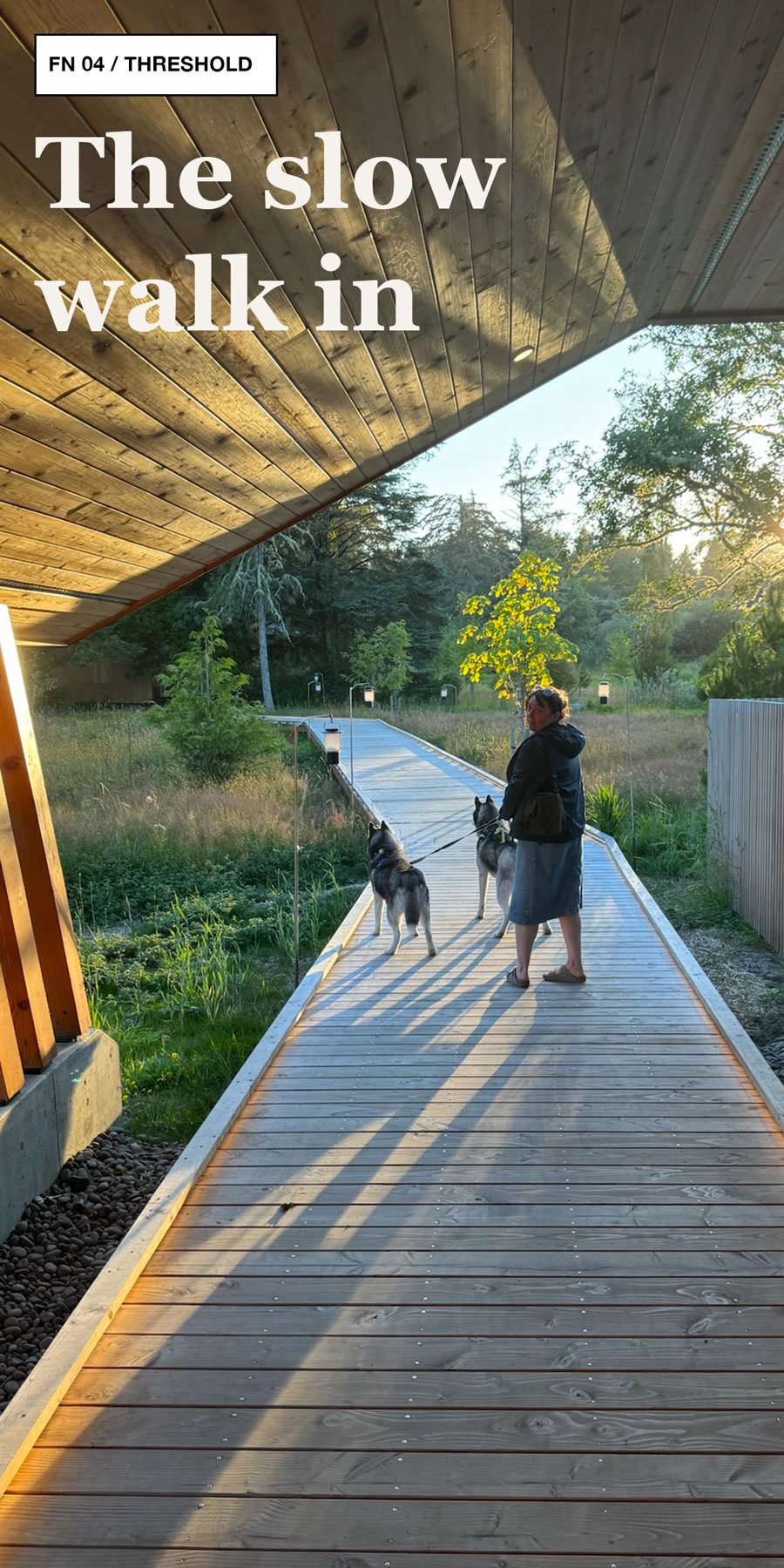 Covered timber walkway at Snow Peak Campfield with long shadows, meadow planting, and people walking with dogs.