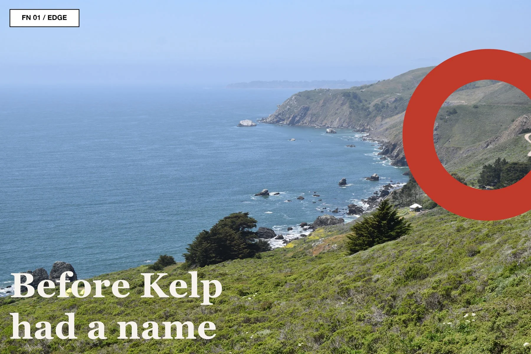 Sea Ranch coastline with blue ocean, rocky headlands, and grass-covered bluffs