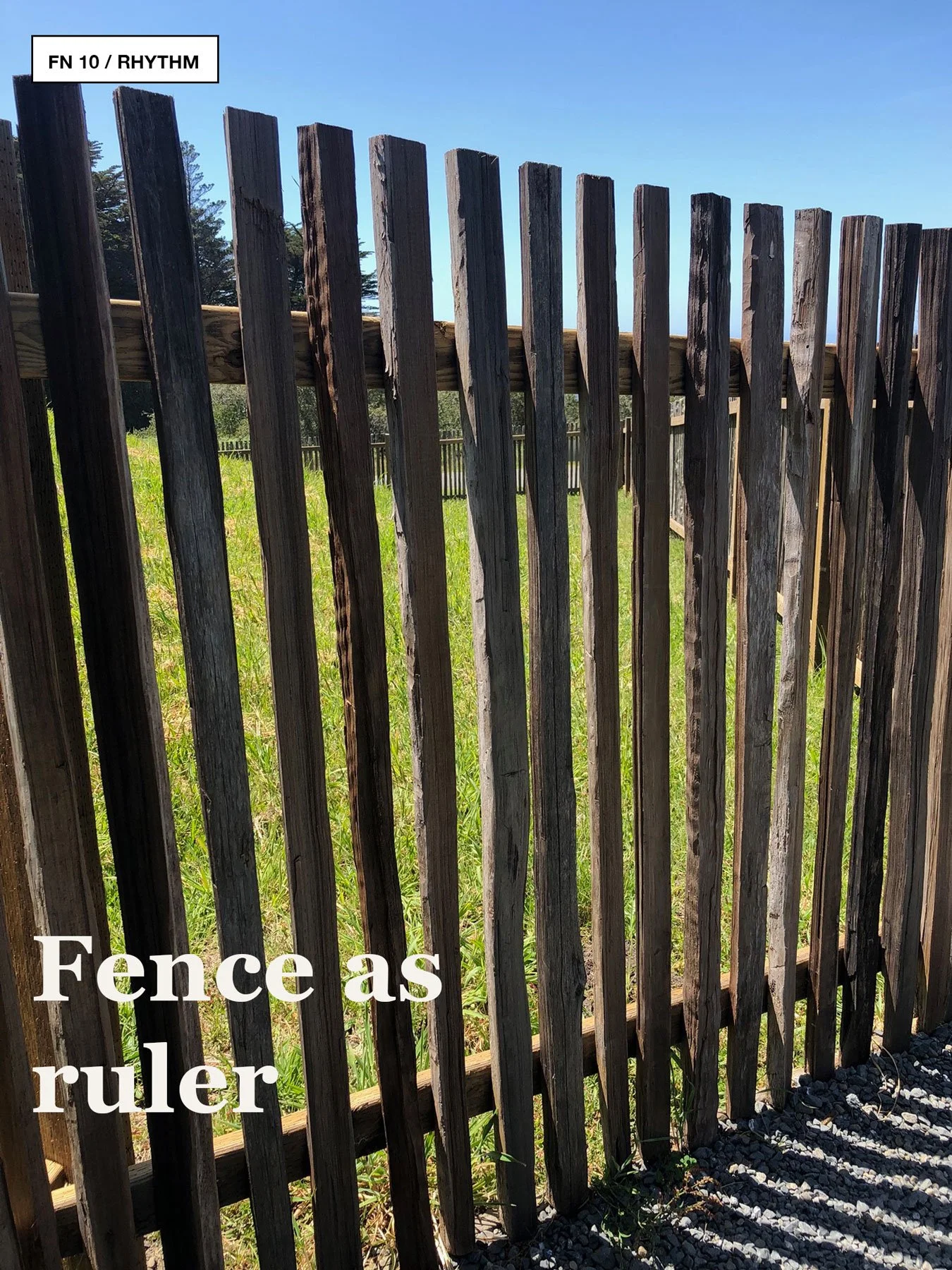 Weathered wooden fence casting shadows across grass at Sea Ranch.