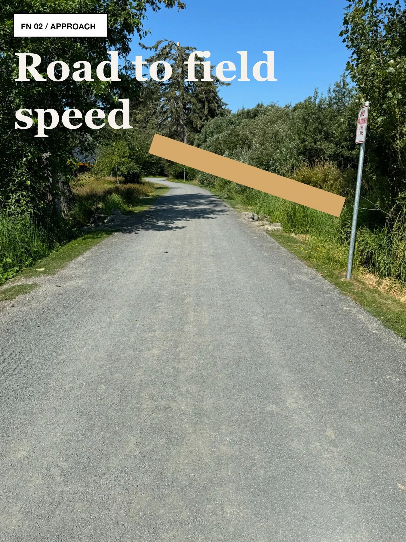 Quiet gravel road leading toward Snow Peak Campfield, bordered by grasses, trees, and coastal vegetation.