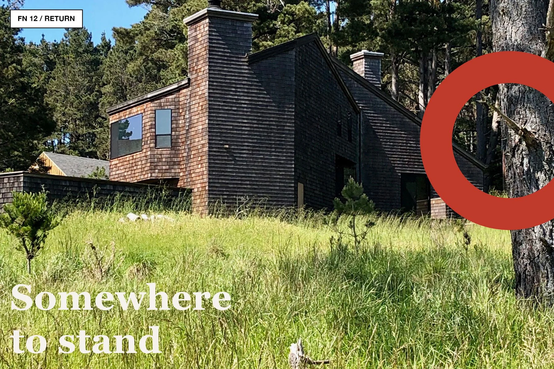 Weathered Sea Ranch building partly hidden by tall grass and coastal trees.