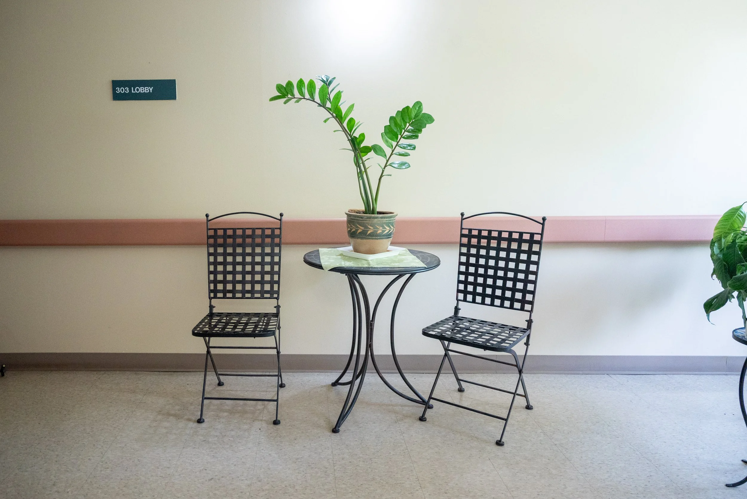 A small round table with a potted plant on top, flanked by two metal chairs with lattice backs, in a room with beige walls and a pink horizontal border. A sign on the wall reads '303 Lobby'.
