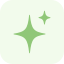 Green star-shaped sparkle against a plain background