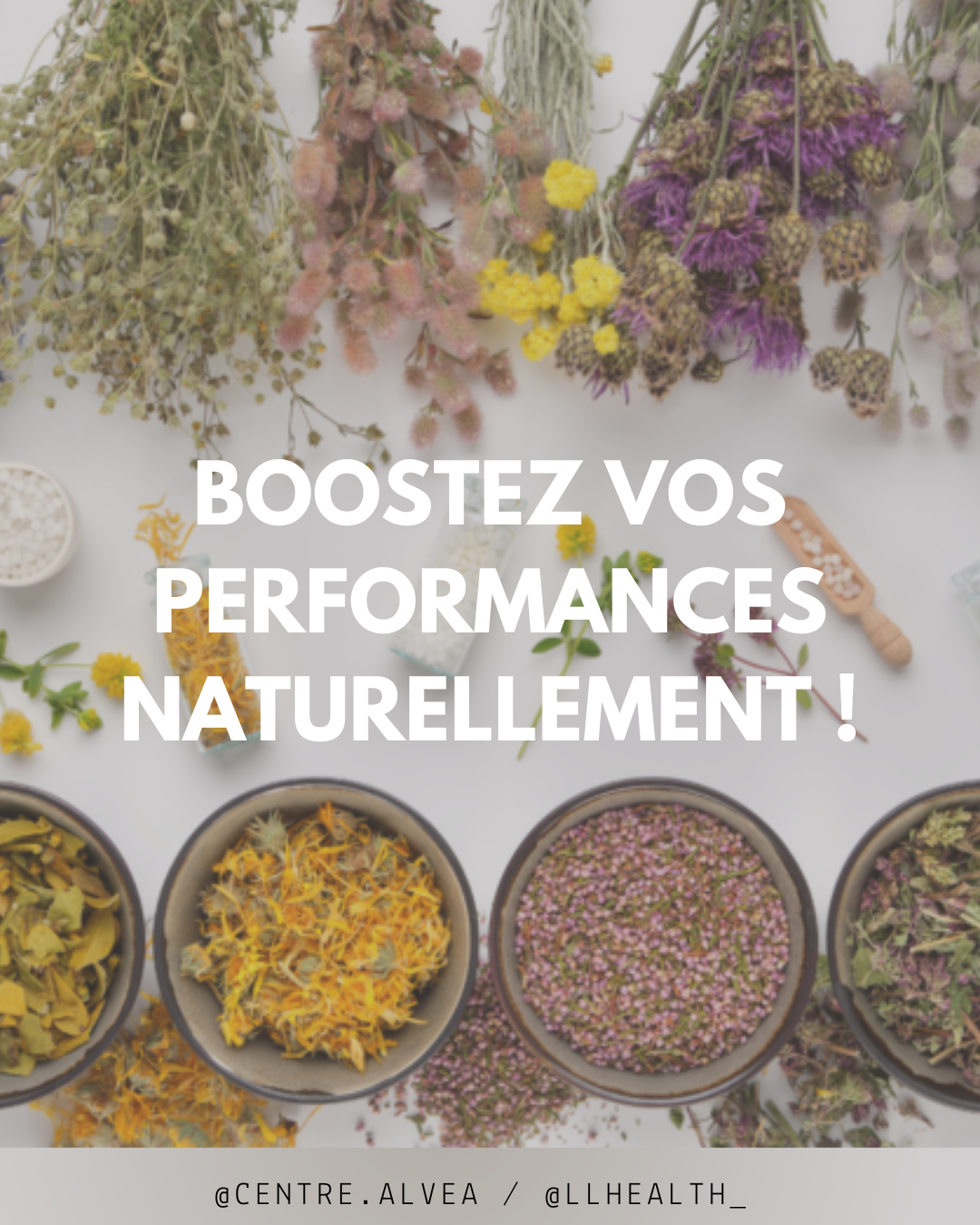 LES PLANTES INCONTOURNABLES&nbsp;POUR LES SPORTIFS