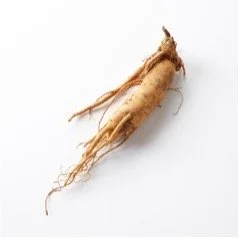 Ginseng.jpg