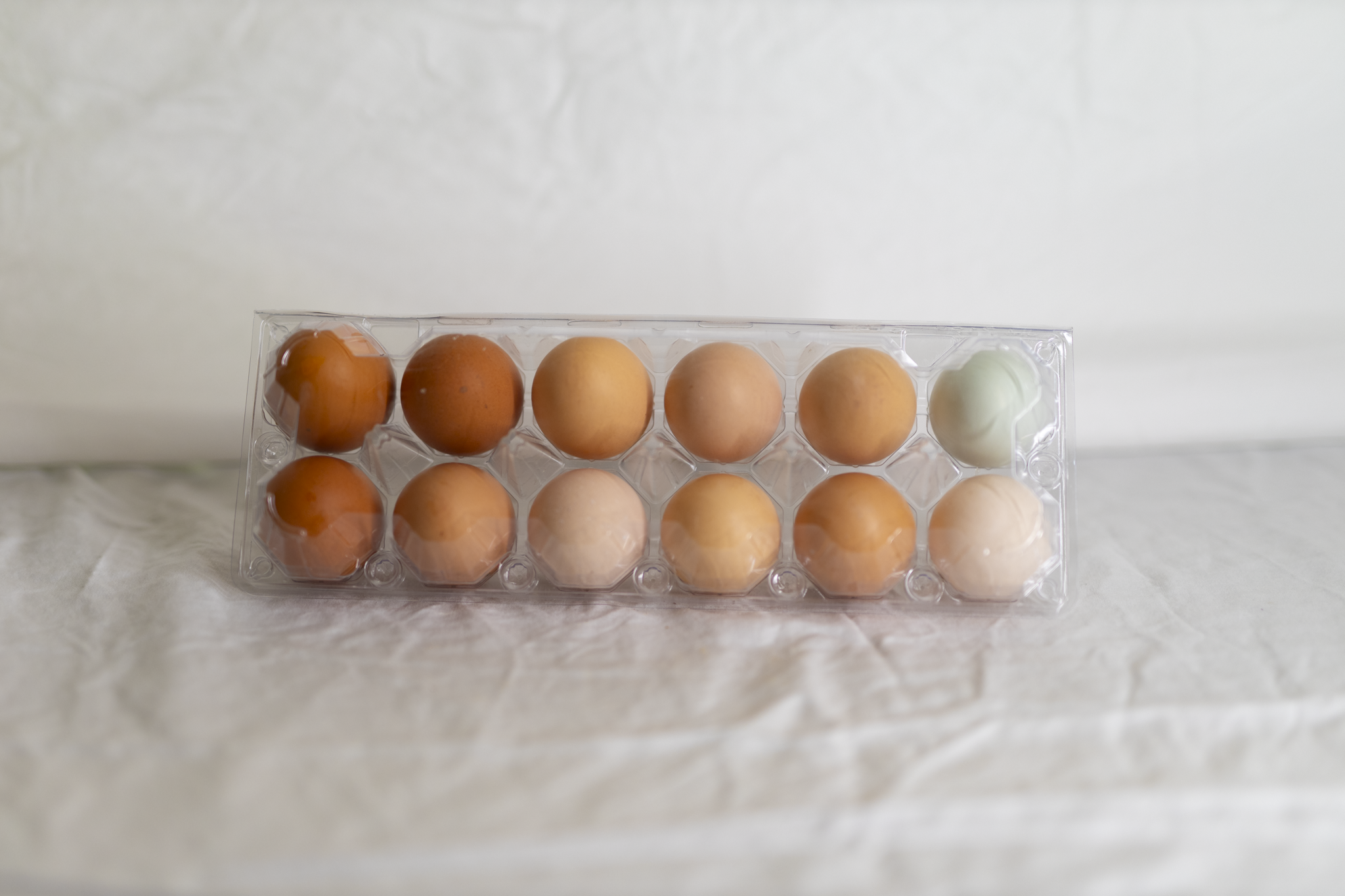 Farm-Fresh Free-Range Eggs