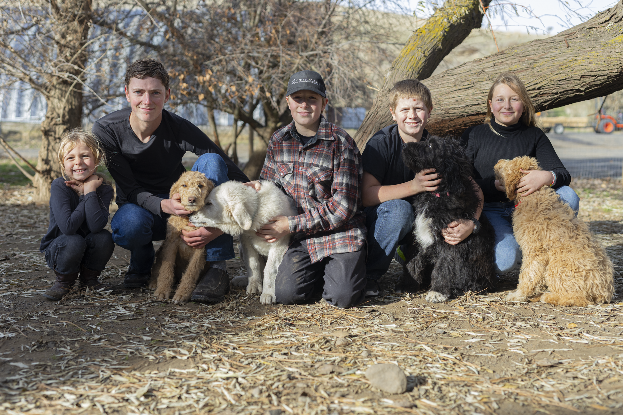 Group of five children, three boys and two girls, crouching outdoors with five puppies of various breeds, under a large tree in a park or backyard on a sunny day.
