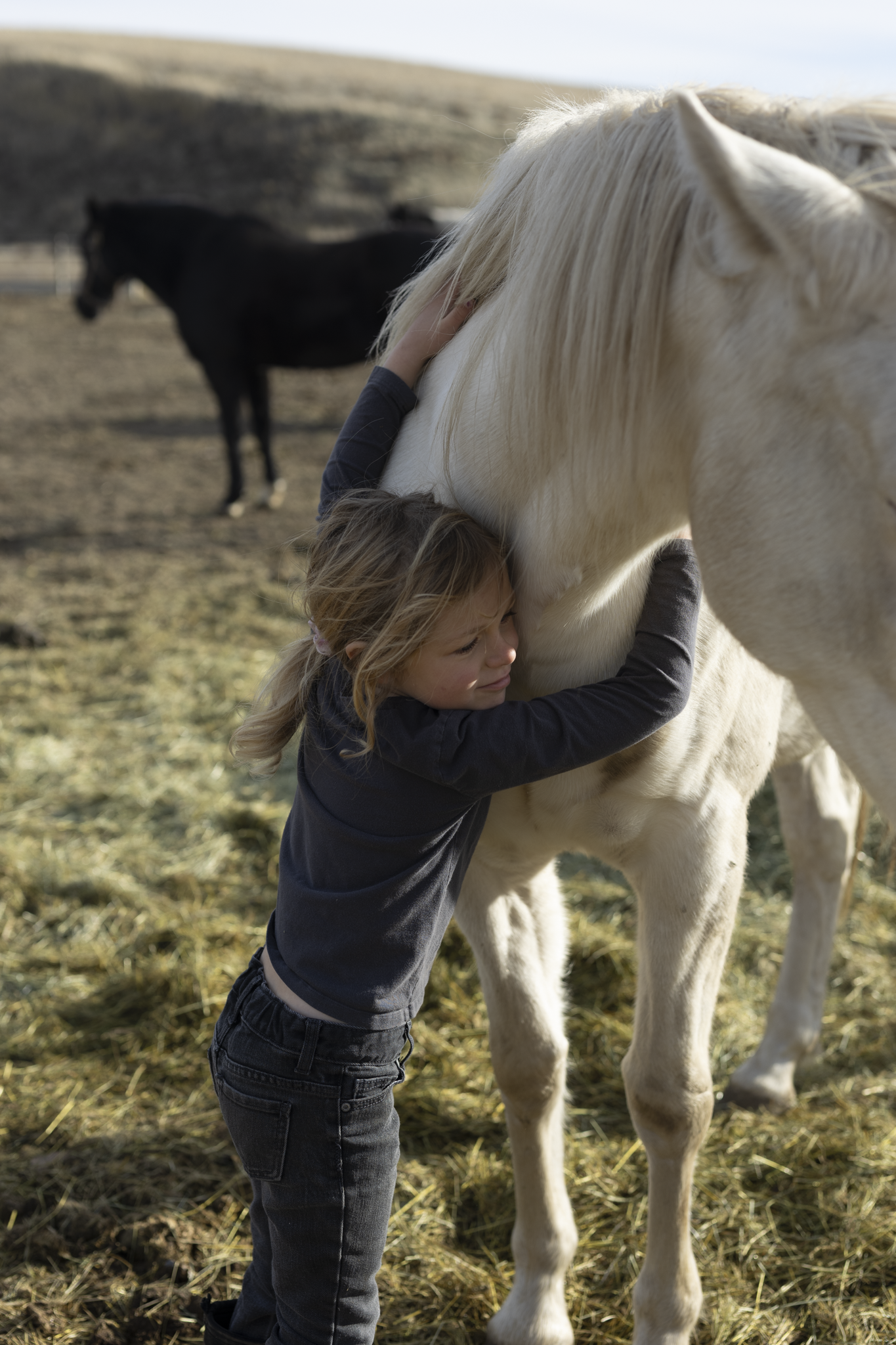 A young girl hugging a white horse outdoors in a field with another black horse in the background.