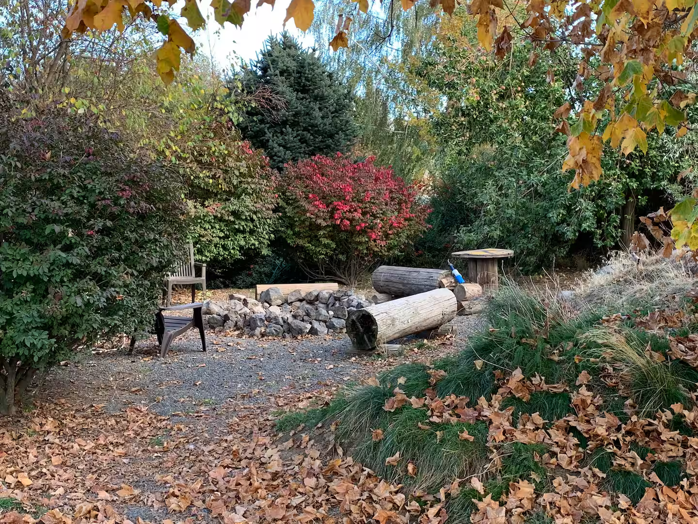 A backyard garden scene in autumn with fallen leaves on the ground, various bushes and trees with colorful foliage, a small wooden table, large logs, and two benches, one white and one black.
