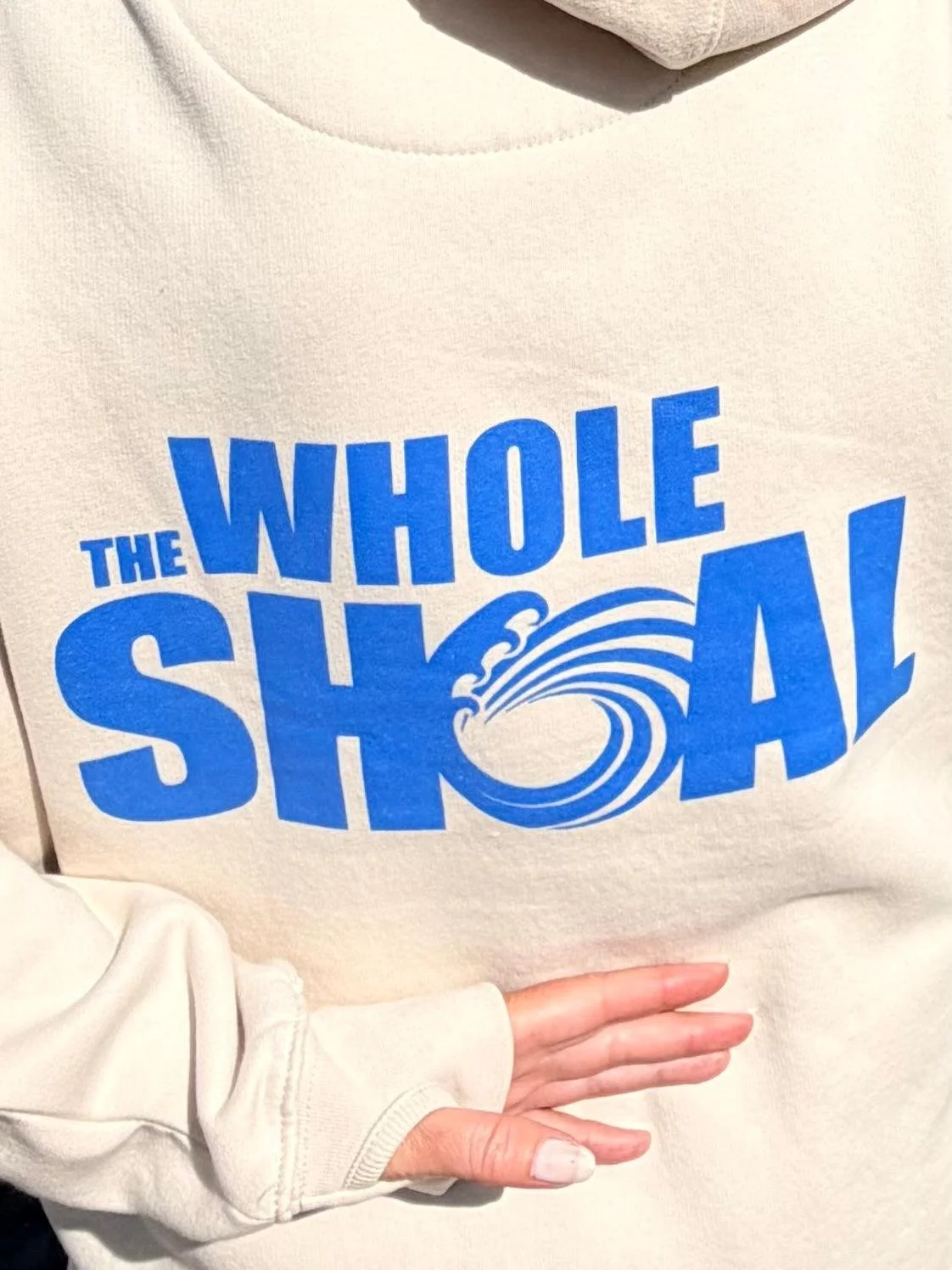 hoodie1.jpg (Copy)