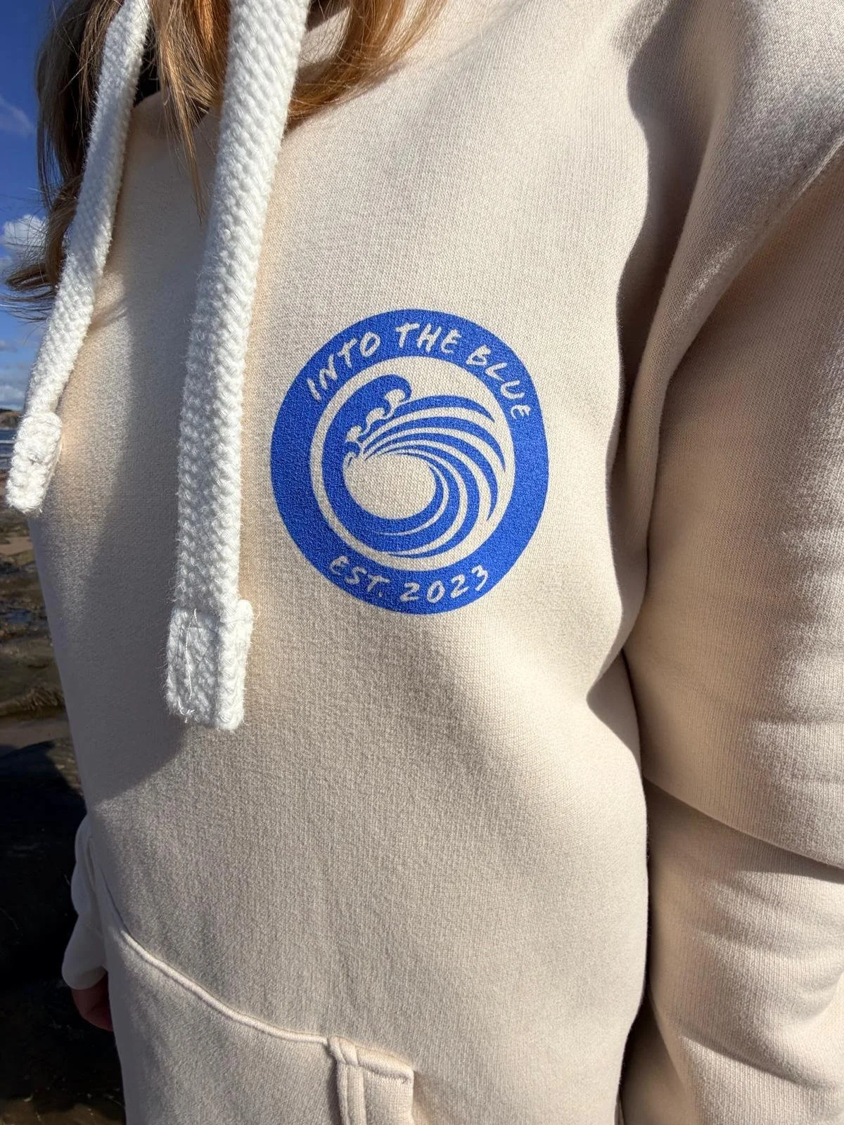 hoodie5.jpg (Copy)