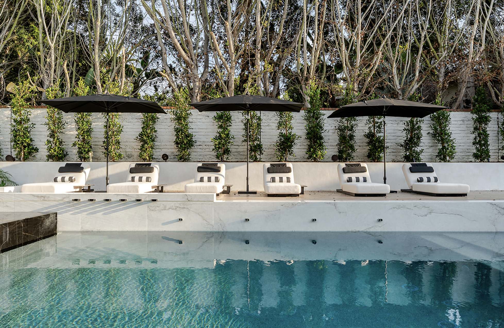 Swimming pool with lounge chairs, black umbrellas, and a white wall with green plants behind it.