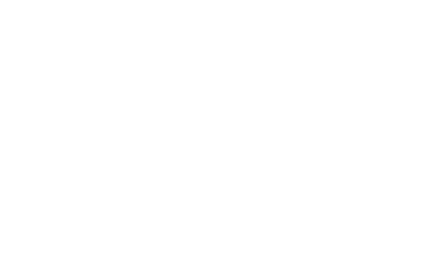 Dan Cohen: Squarespace Website Designer in New York