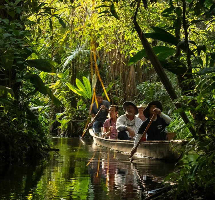 AMAZONAS: Under the Canopy